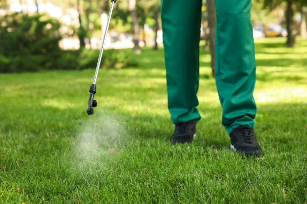 Best Local Pest Control Services  in Stanfield, OR